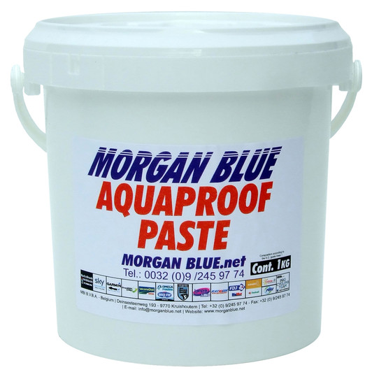 Morgan-Blue-Aqua-Proof-Paste-1000cc